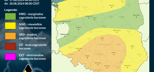 Prognoza burzowa na 17.08.2024 i noc z 17/18.08.2024