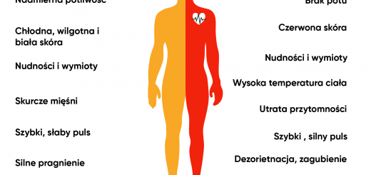 Udar cieplny czy przegrzanie? Jak skutecznie pomóc w sytuacji kryzysowej podczas fali upałów?